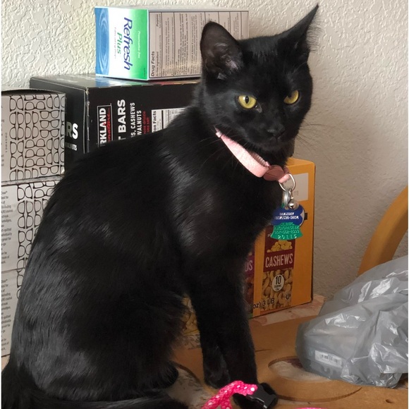 Meet your Posher, Vicki - Picture 14 of 15